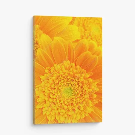 Leinwandbild intensive orange gerbera nahaufnahme – Wallnifity®