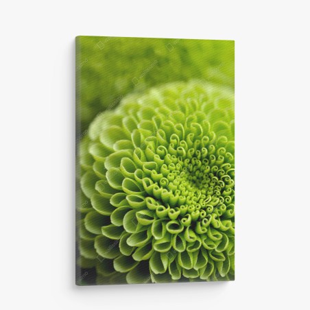 Leinwandbild leuchtende grüne blumenspirale im makro – Wallnifity®