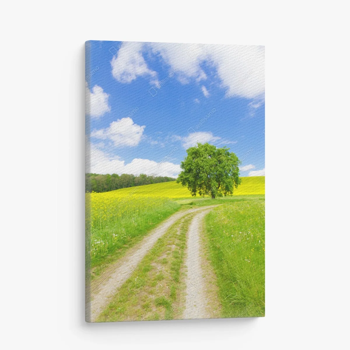 Leinwandbild sonniger feldweg mit einsamem baum – Wallnifity® Leinwandbild sonniger feldweg mit einsamem baum – Wallnifity®