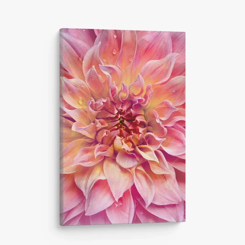 Leinwandbild rosa dahlie nahaufnahme