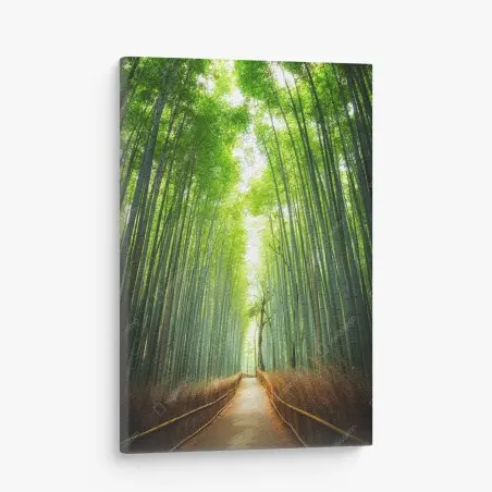 Leinwandbild weg durch den bambushain von Arashiyama – Wallnifity®