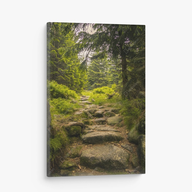 Natur – Wallnifity®