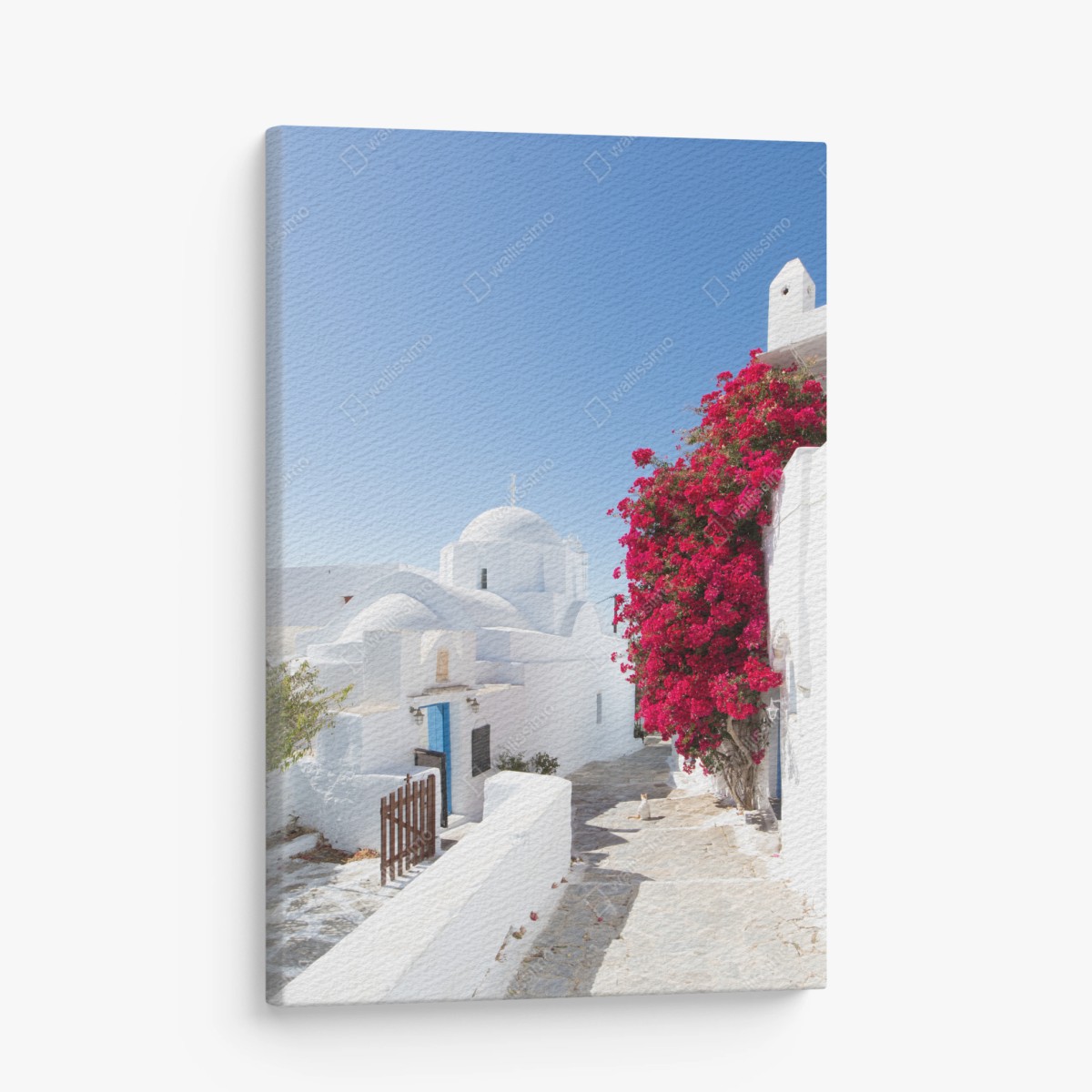 Leinwandbild sonnige gasse auf der insel mit leuchtender buganvillea – Wallnifity®