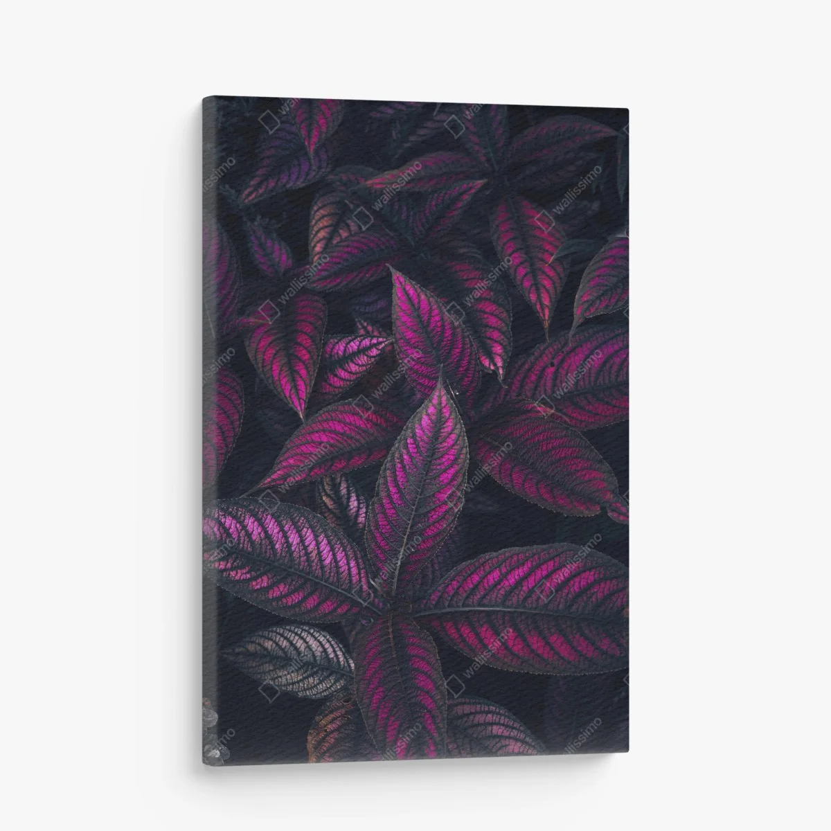 Leinwandbild leuchtendes violettes blättermotiv – Wallnifity® Leinwandbild leuchtendes violettes blättermotiv – Wallnifity®