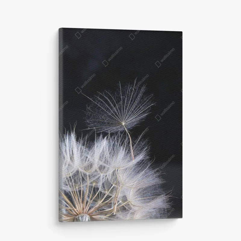 Minimalistisch – Wallnifity®