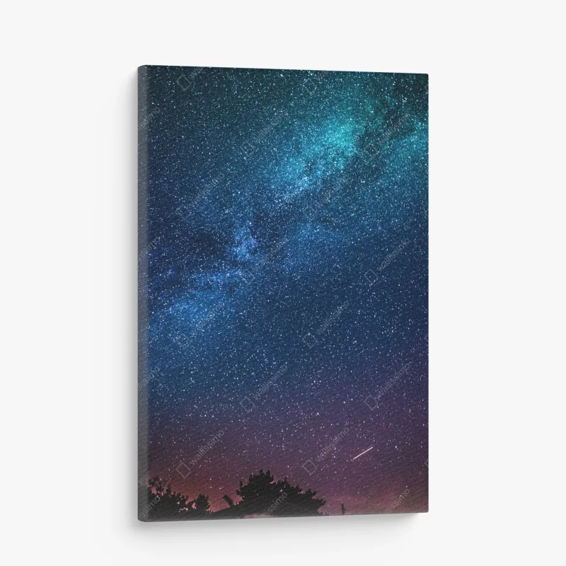 Minimalistisch – Wallnifity®