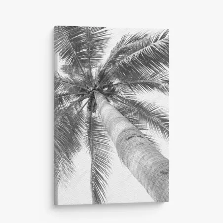 Leinwandbild monochrome palme aus der froschperspektive – Wallnifity®