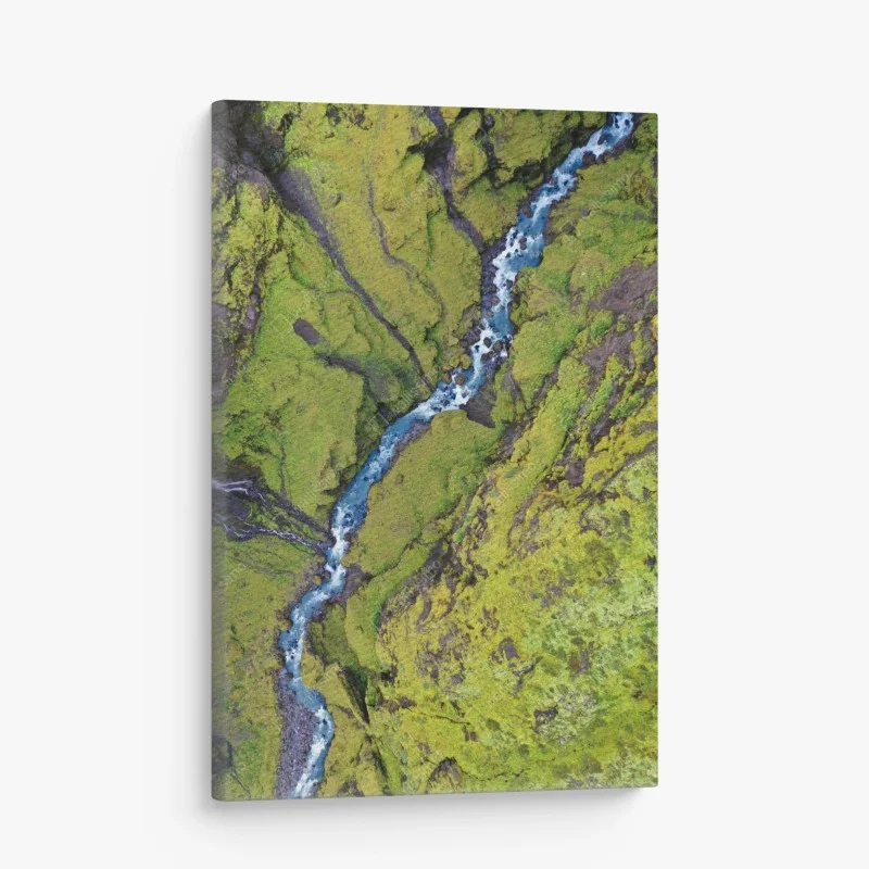 Leinwandbild luftaufnahme: fluss in moosbedeckter schlucht