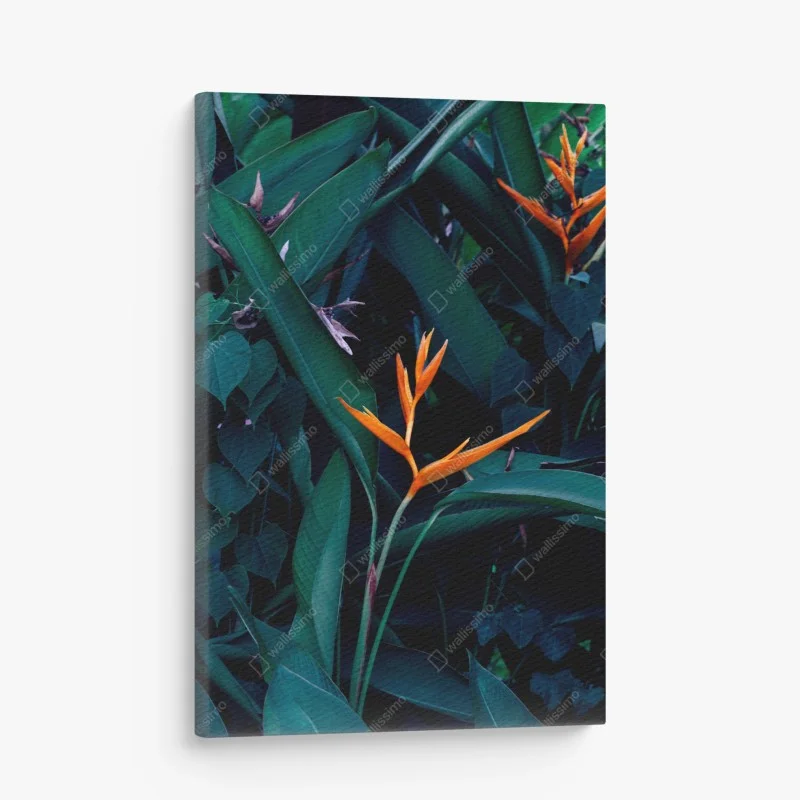 Blumen & Pflanzen – Wallnifity®