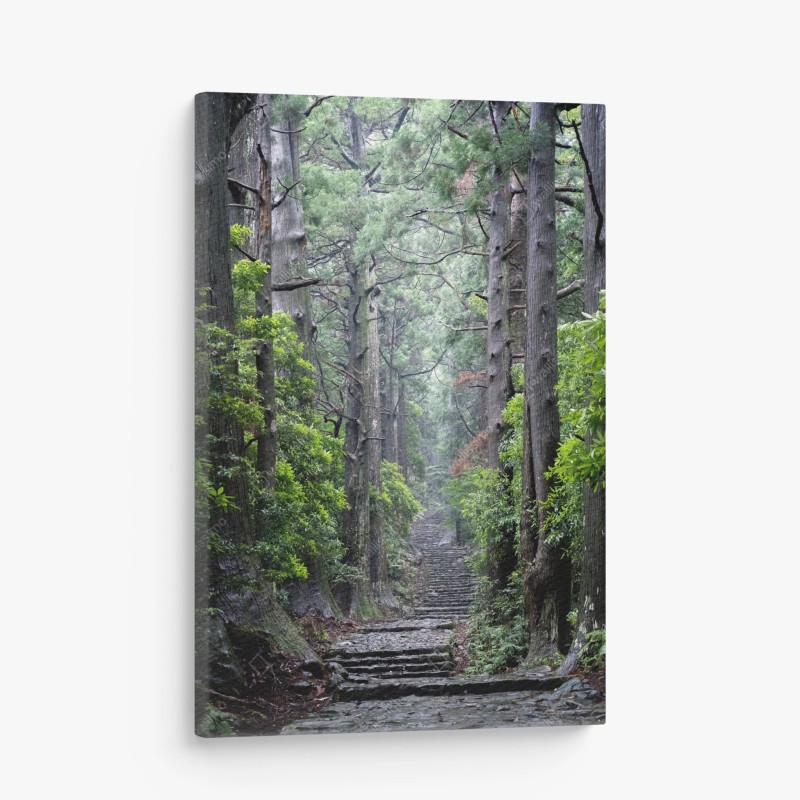 Natur – Wallnifity®