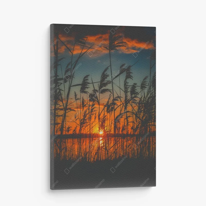 Boho – Wallnifity®