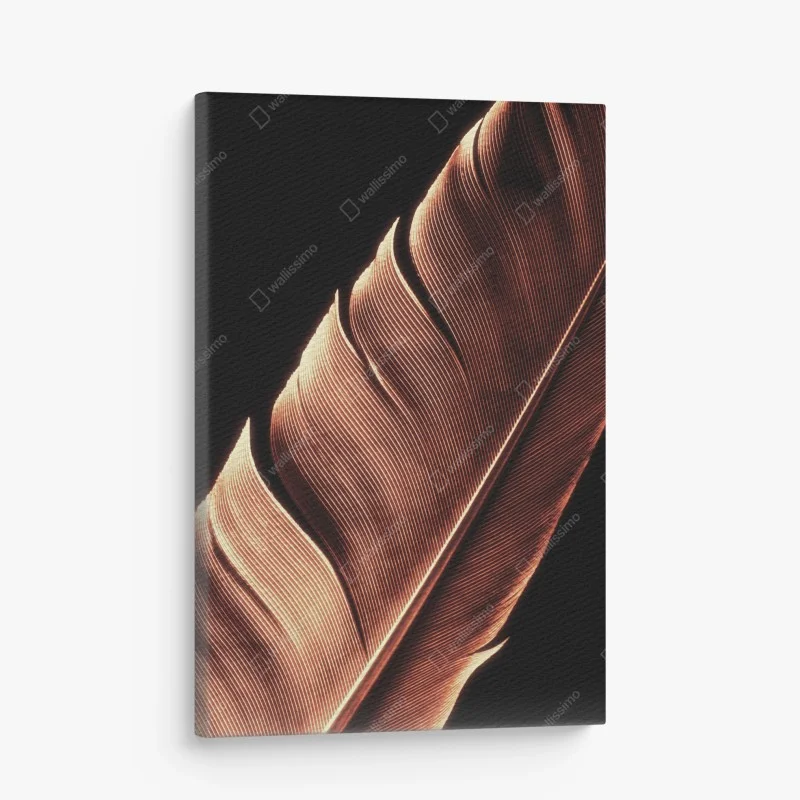 Tiere – Wallnifity®