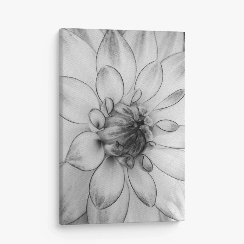 Minimalistisch – Wallnifity®