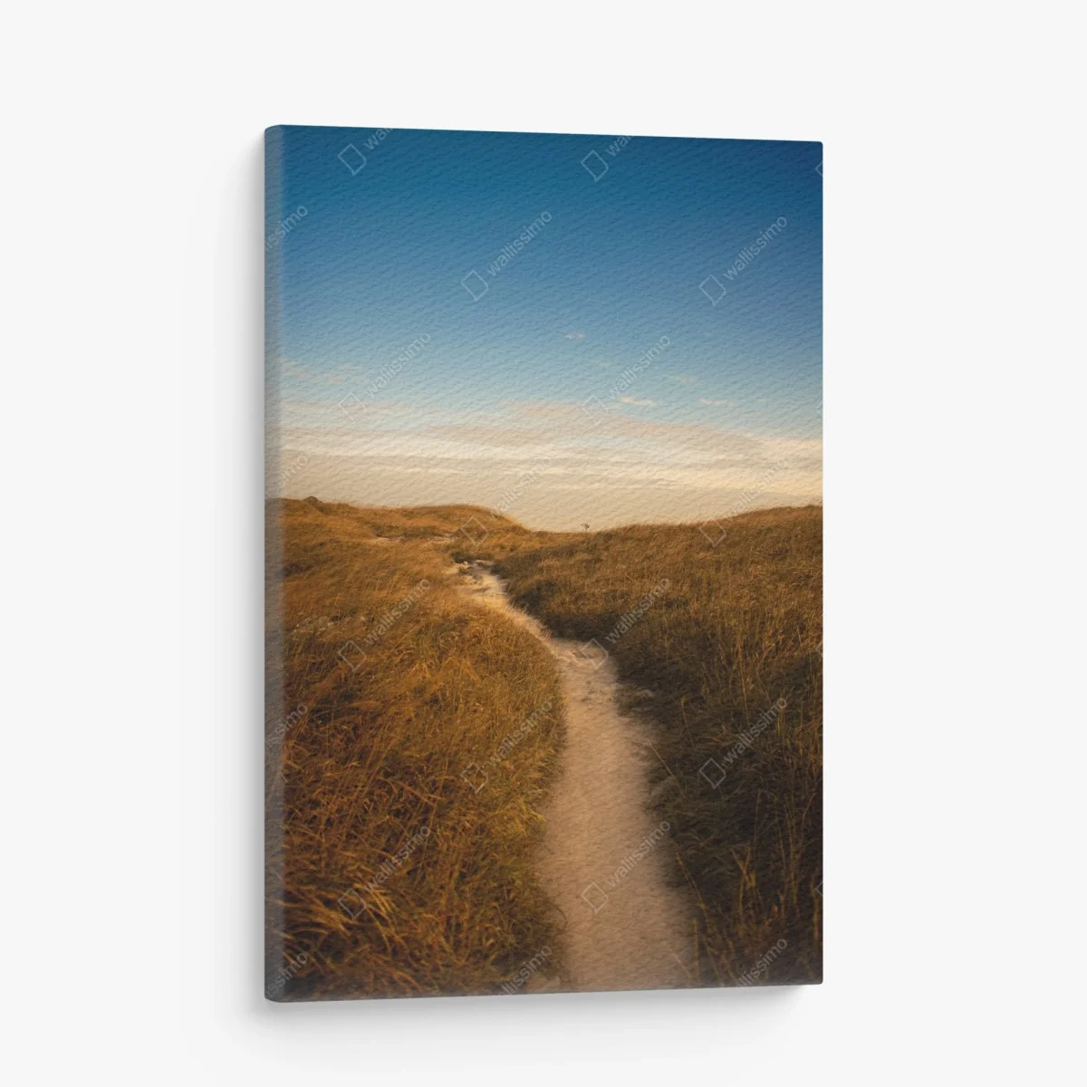 Leinwandbild sonnenbeschienener weg durch die dünen – Wallnifity® Leinwandbild sonnenbeschienener weg durch die dünen – Wallnifity®