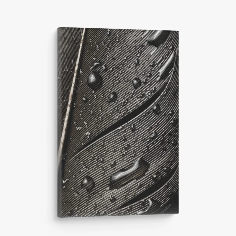 Urban Chic – Wallnifity®