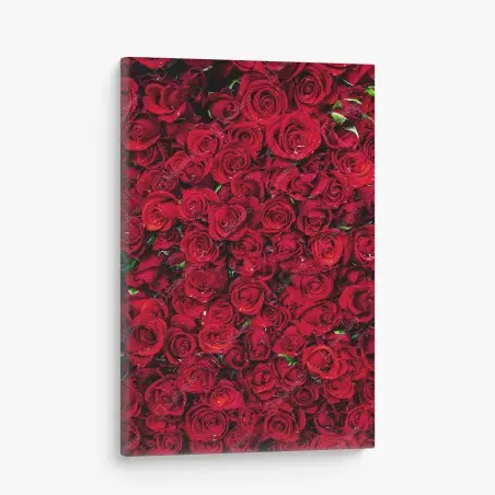 Leinwandbild dichte wand aus roten rosen – Wallnifity®
