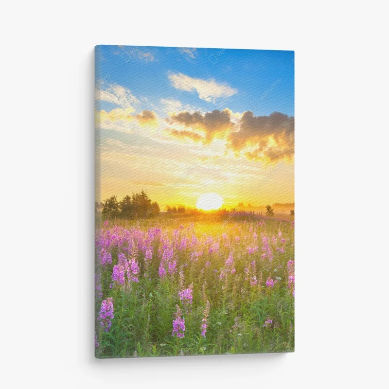 Leinwandbild sonnenaufgang über violetter wildblumenwiese