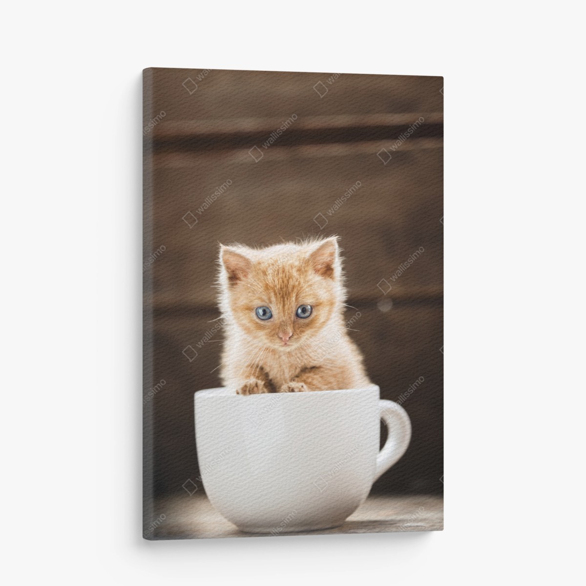 Leinwandbild rötliches kätzchen in einer teetasse – Wallnifity®