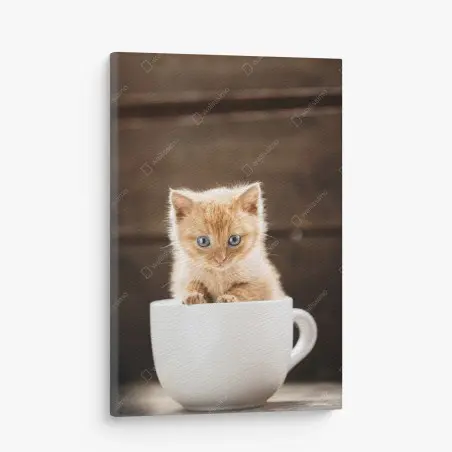 Leinwandbild rötliches kätzchen in einer teetasse – Wallnifity®