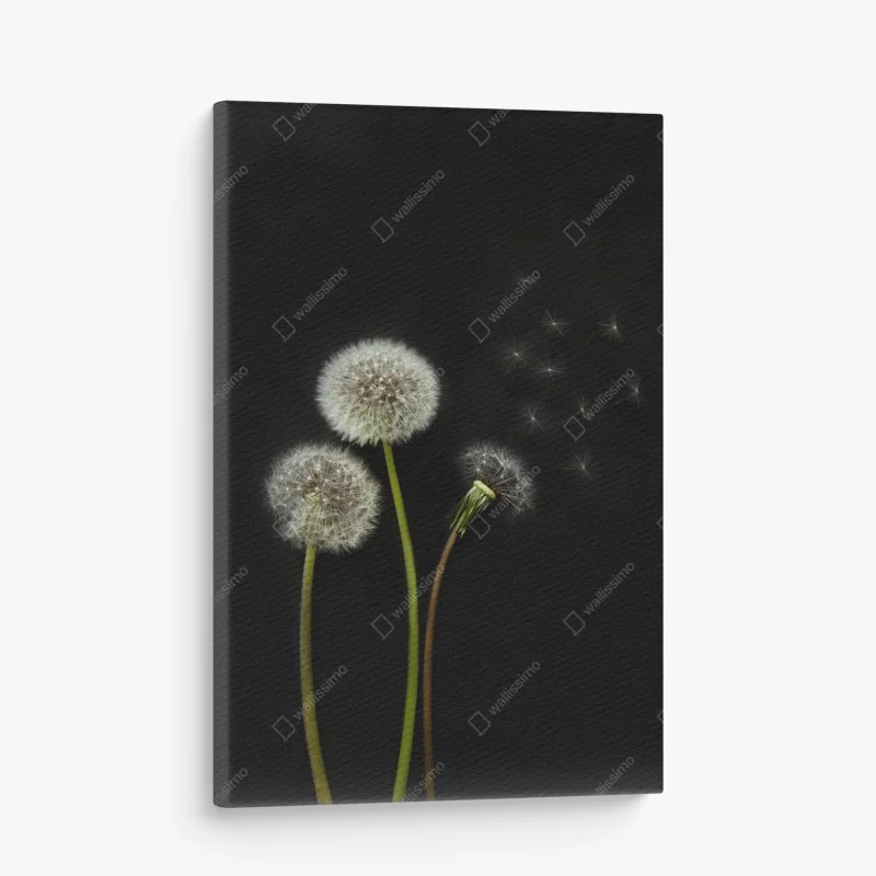 Minimalistisch – Wallnifity®