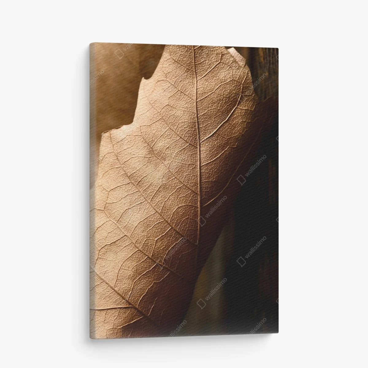 Leinwandbild strukturiertes trockenes blatt nahaufnahme – Wallnifity® Leinwandbild strukturiertes trockenes blatt nahaufnahme – Wallnifity®