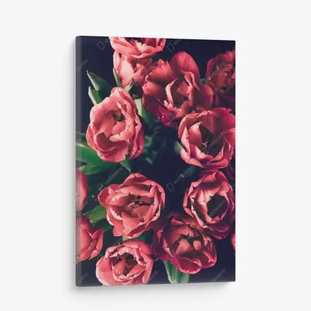 Leinwandbild stimmungsvolles rosa tulpenbukett – Wallnifity®