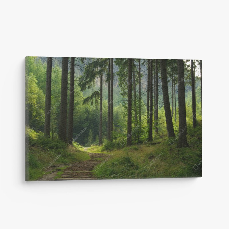 Natur – Wallnifity®