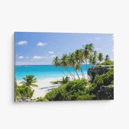 Leinwandbild Bottom Bay palmenstrand, Barbados – Wallnifity®