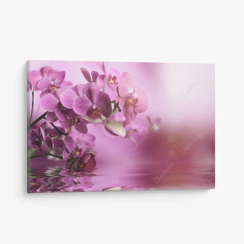 Leinwandbild rosa orchideen spiegelung