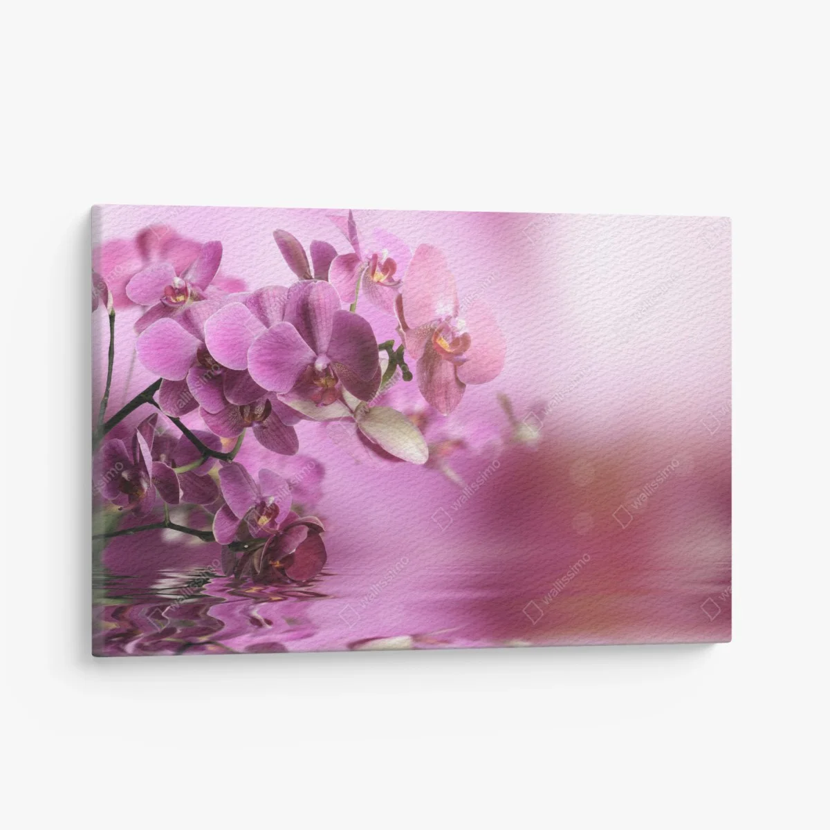 Leinwandbild rosa orchideen spiegelung – Wallnifity® Leinwandbild rosa orchideen spiegelung – Wallnifity®