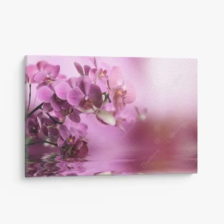 Leinwandbild rosa orchideen spiegelung – Wallnifity®