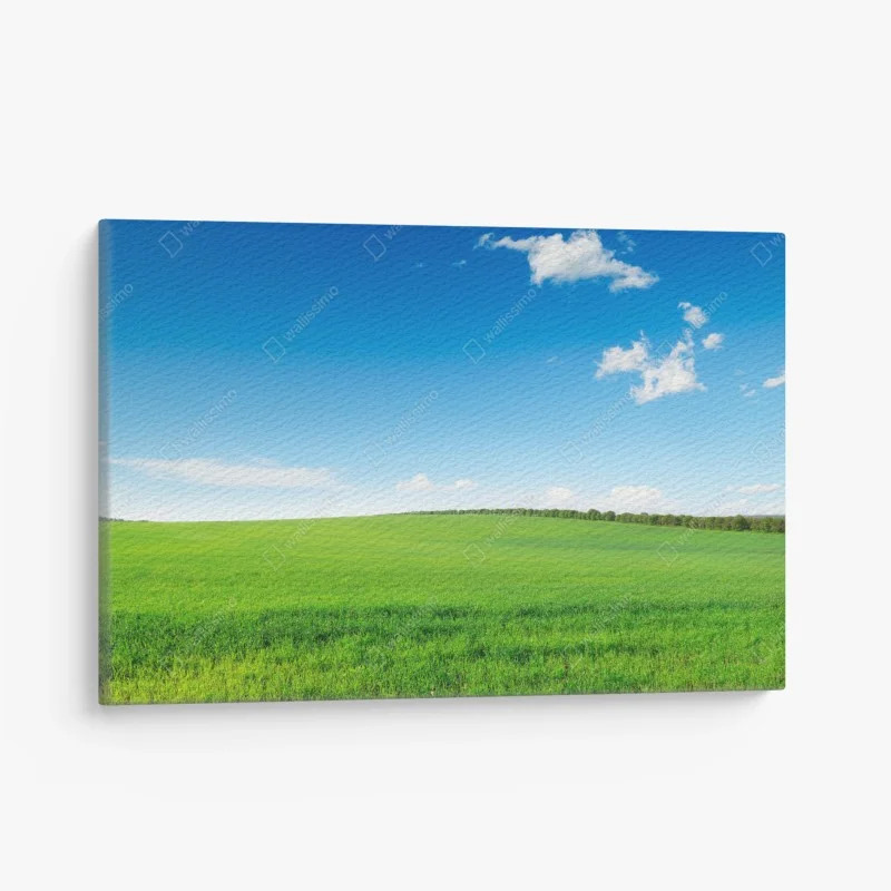 Leinwandbild ruhige grüne wiese unter blauem himmel – Wallnifity® Leinwandbild ruhige grüne wiese unter blauem himmel – Wallnifity®