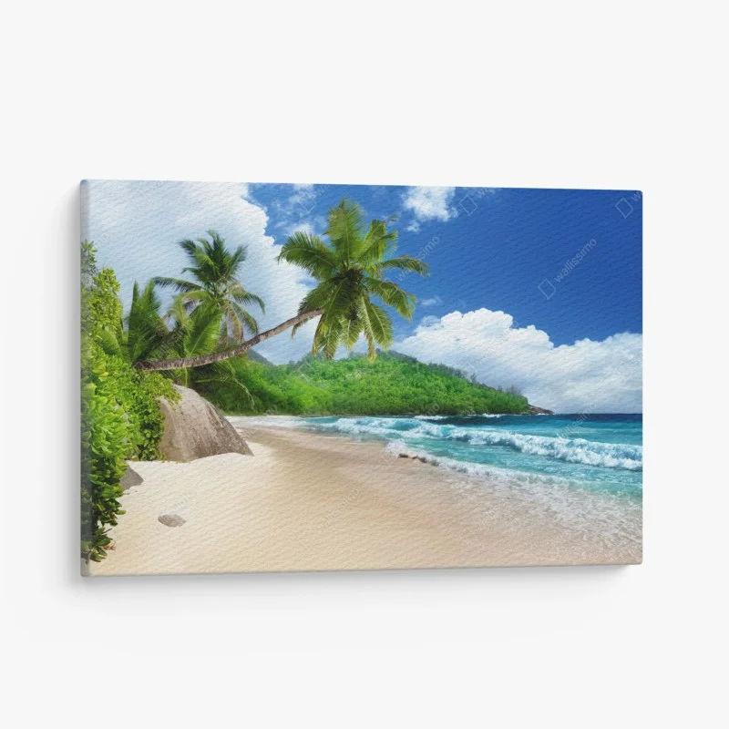 Verschiedenes – Wallnifity®