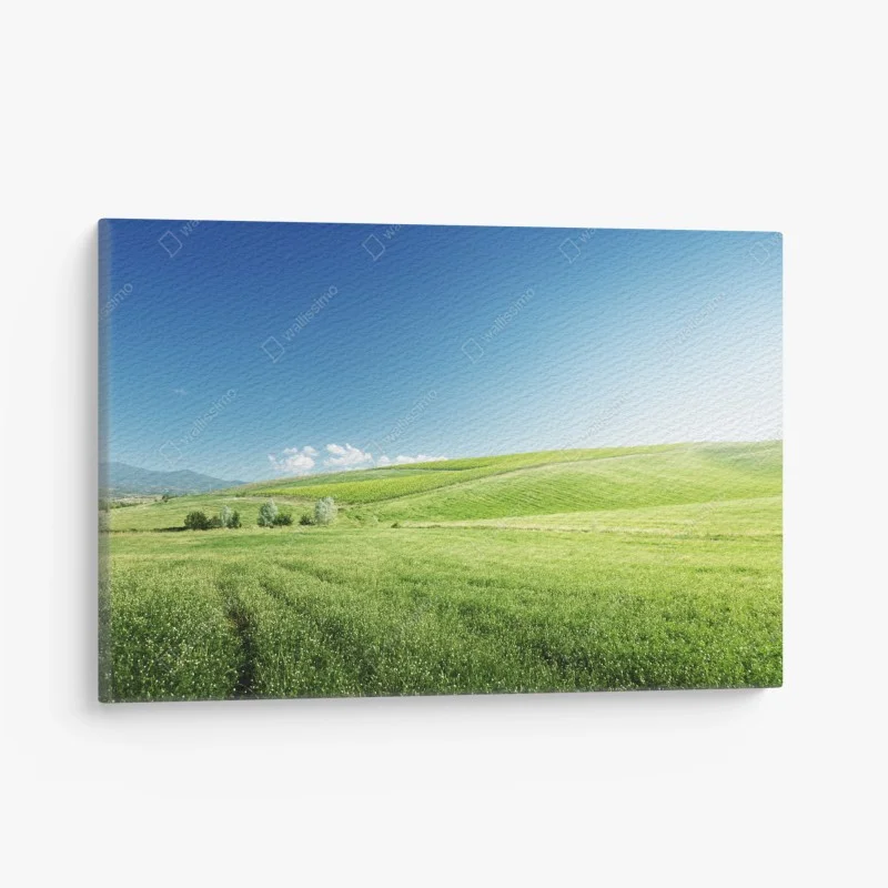 Leinwandbild ruhige grüne wiesenlandschaft