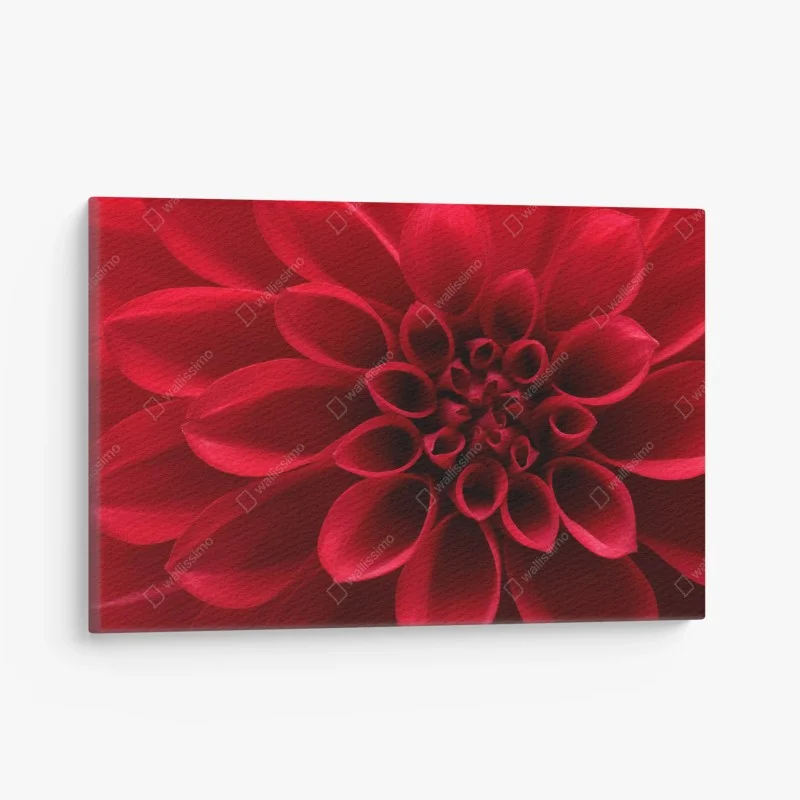 Urban Chic – Wallnifity®