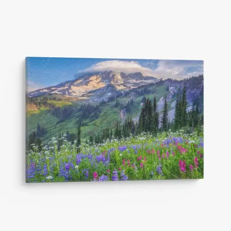 Leinwandbild alpine blumenwiese vor schneebedeckten bergen – Wallnifity®