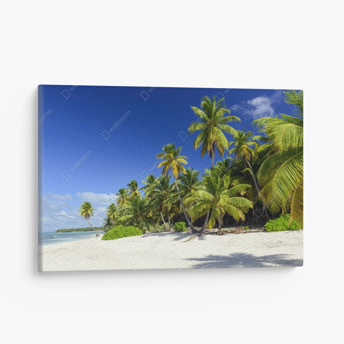 Leinwandbild ruhiger tropischer strand in Punta Cana – Wallnifity® Leinwandbild ruhiger tropischer strand in Punta Cana – Wallnifity®