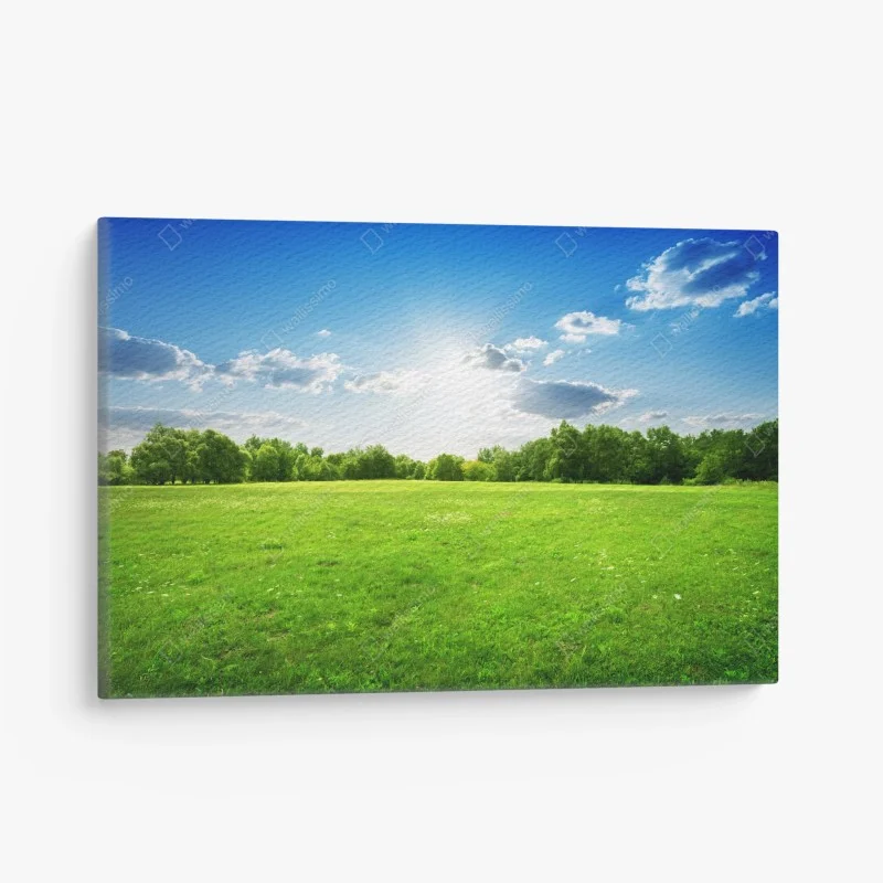 Wiesen – Wallnifity®