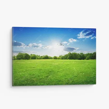 Leinwandbild sonnige grüne wiese – Wallnifity®