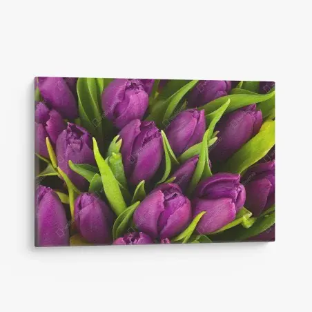 Leinwandbild lila tulpen im bukett – Wallnifity®