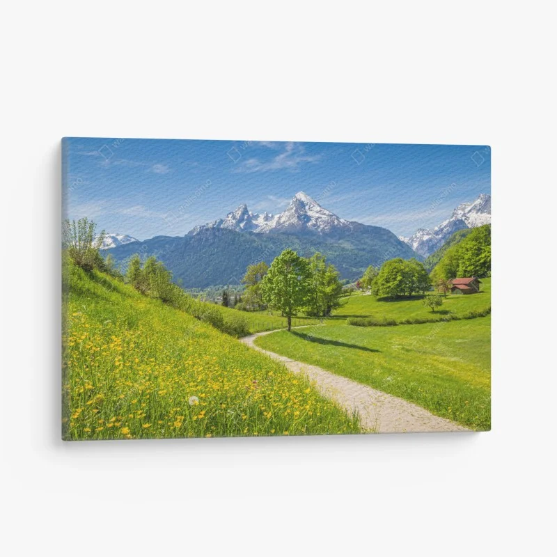 Leinwandbild alpine frühlingswiese mit schneebedeckten gipfeln