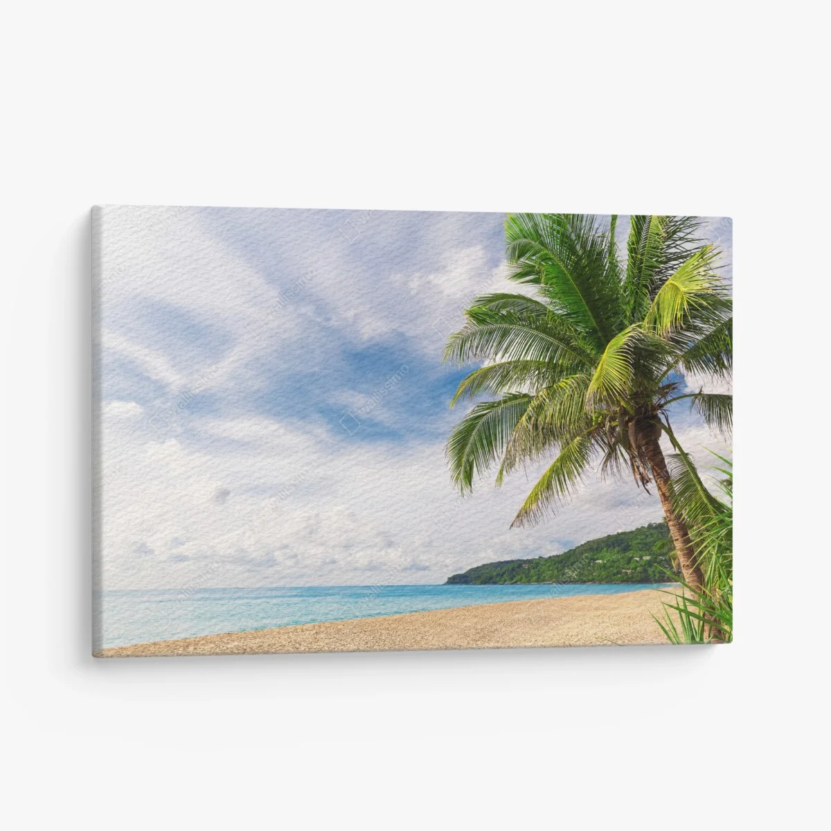 Leinwandbild tropischer strand in Phuket mit palme – Wallnifity® Leinwandbild tropischer strand in Phuket mit palme – Wallnifity®