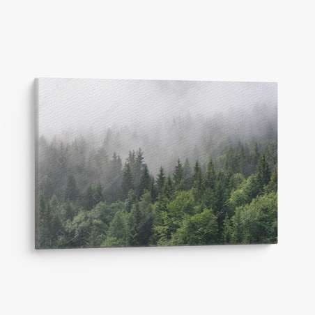 Leinwandbild nebliger immergrüner wald panorama – Wallnifity®