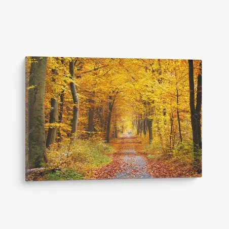 Leinwandbild goldener herbstwald pfad – Wallnifity®