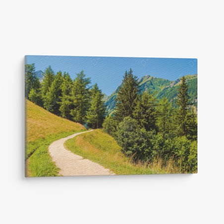 Leinwandbild bergweg in den Schweizer Alpen im Sommer – Wallnifity®