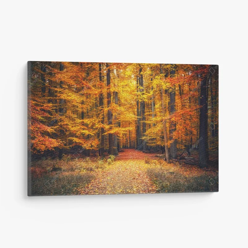 Leinwandbild herbstlicher waldpfad mit goldenen blättern