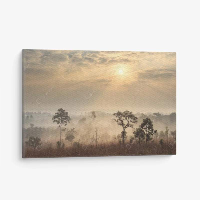 Leinwandbild Thailand sawanne bei sonnenaufgang