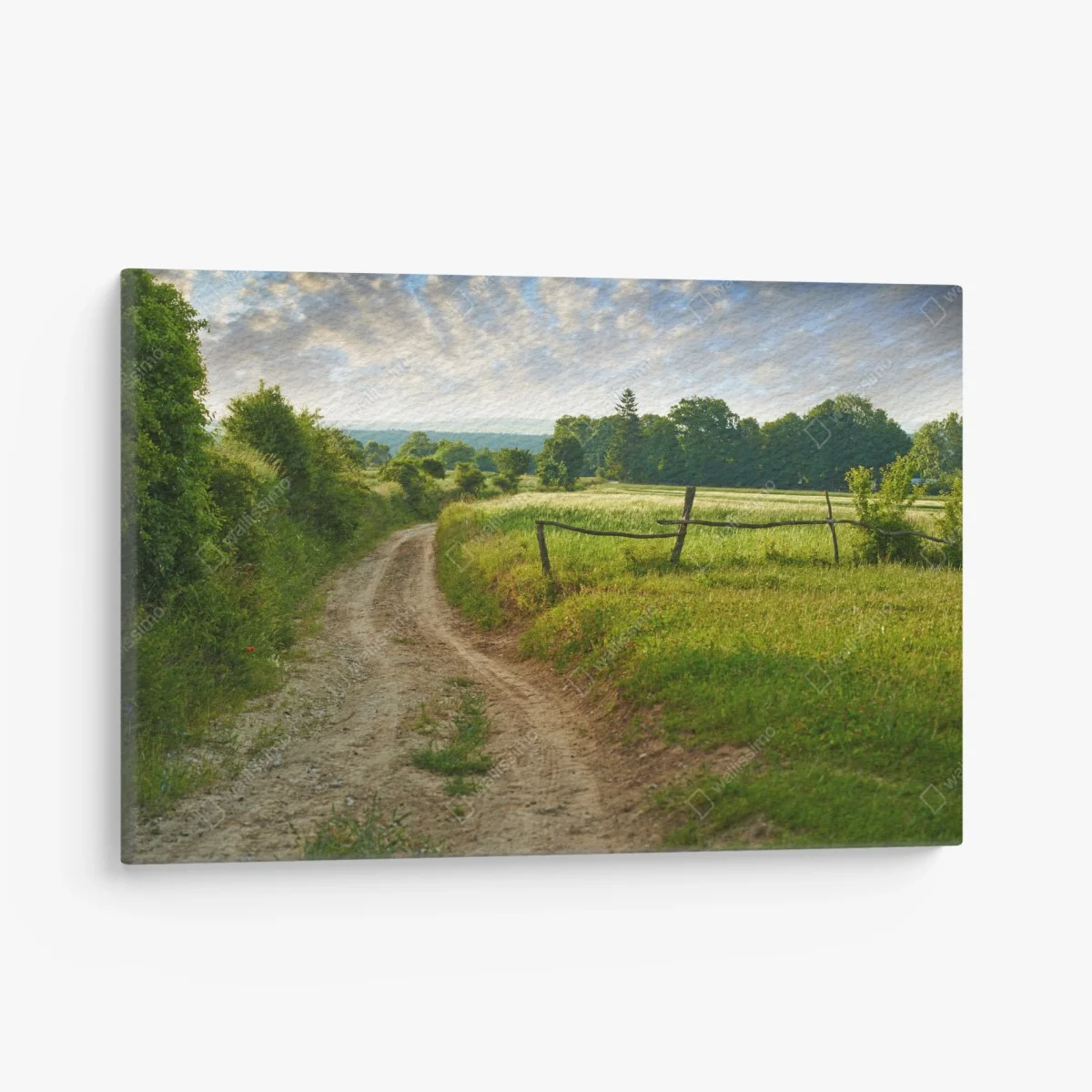 Leinwandbild sonniger landweg durch grüne wiesen – Wallnifity® Leinwandbild sonniger landweg durch grüne wiesen – Wallnifity®