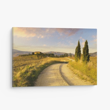 Leinwandbild goldene landstraße zwischen zypressen – Wallnifity®