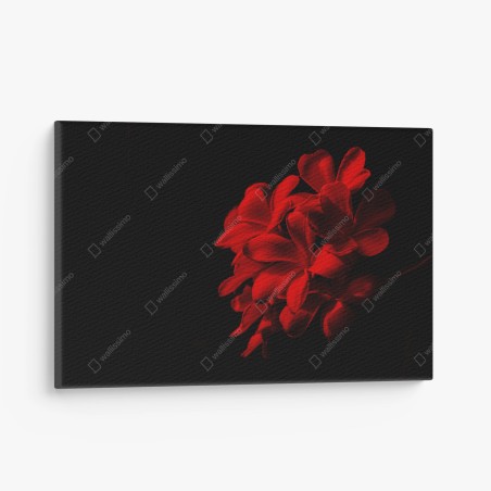 Leinwandbild rote plumeria auf schwarzem hintergrund – Wallnifity®